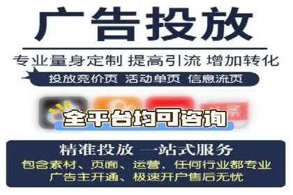 SEM广告投放案例：打造品牌影响力